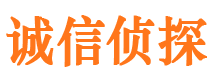 朝天市私家侦探